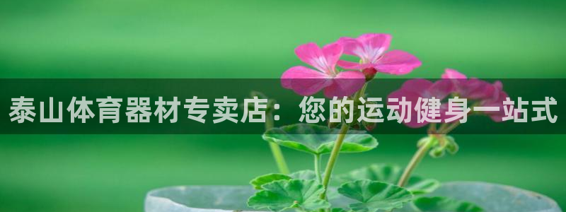 极悦官网下载最新版本更新内容：泰山体育器材专卖店：您