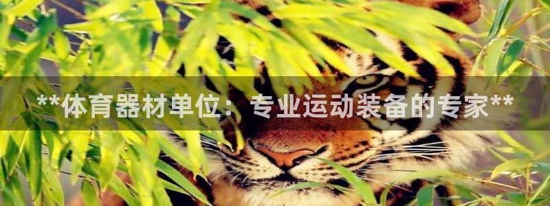 极悦平台的注册流程及注意事项是什么：**体育器材单位