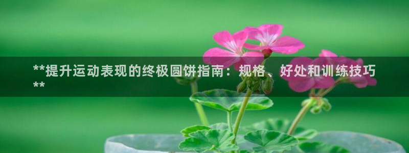 极悦平台代理：**提升运动表现的终极圆饼指南：规格、