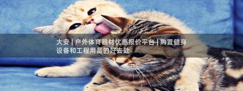 极悦平台代理怎么赚钱：大安 | 户外体育器材优惠报价