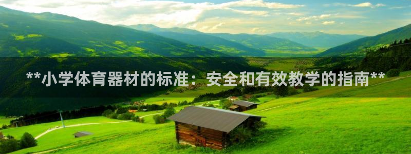 极悦平台创始人背景故事视频：**小学体育器材的标准：