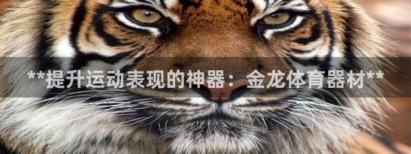 极悦是什么牌子空调的：**提升运动表现的神器：金龙体