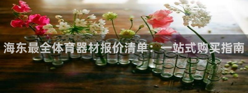 苏州极悦信息科技有限公司：海东最全体育器材报价清单：