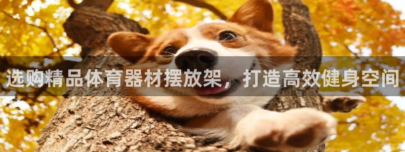 极悦平台基7O777：选购精品体育器材摆放架，打造高