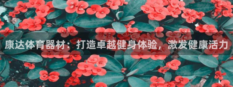 极悦官网旗舰店电话：康达体育器材：打造卓越健身体验，