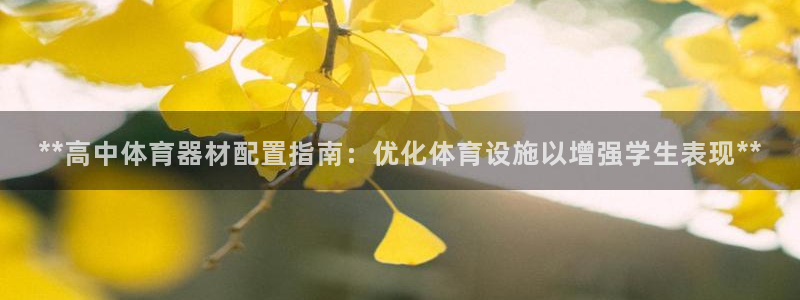 极悦平台注册申请流程详解视频：**高中体育器材配置指