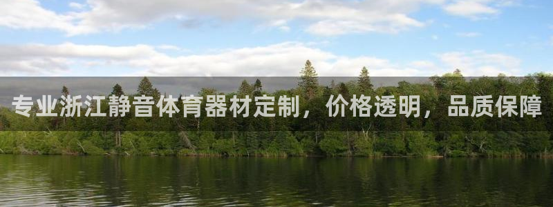 极悦娱乐的最新版本更新内容在哪：专业浙江静音体育器材