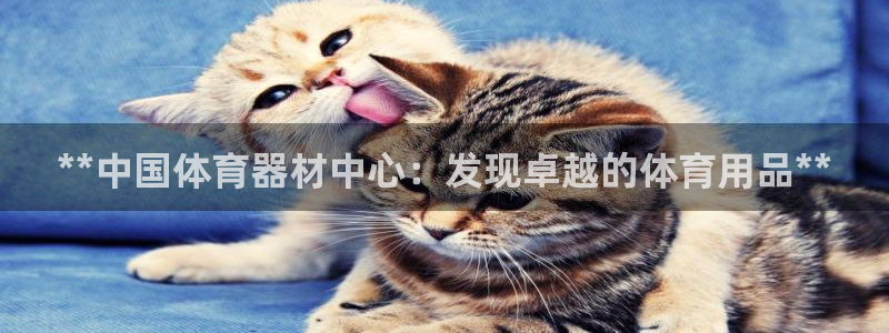 极悦平台注册官网入口：**中国体育器材中心：发现卓越