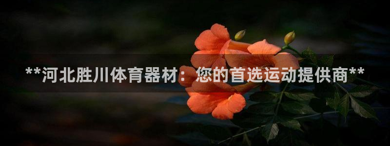 极悦平台有风险吗现在：**河北胜川体育器材：您的首选