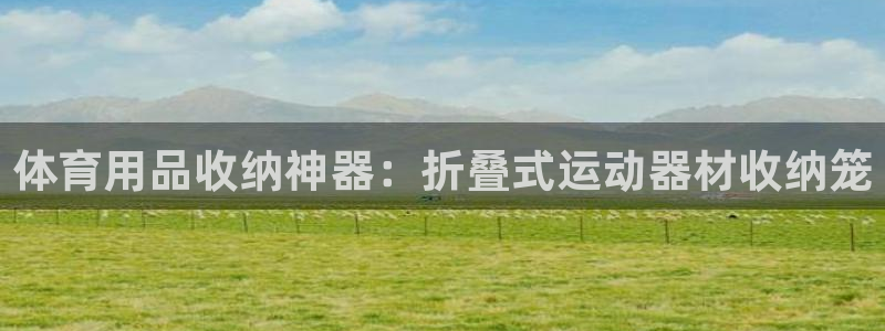 极悦益生菌猫粮怎么样：体育用品收纳神器：折叠式运动器