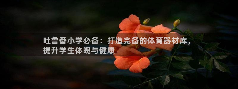 极悦官网入口登录网址：吐鲁番小学必备：打造完备的体育