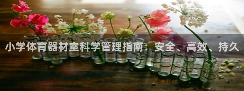 极悦娱乐会被骗吗知乎：小学体育器材室科学管理指南：安