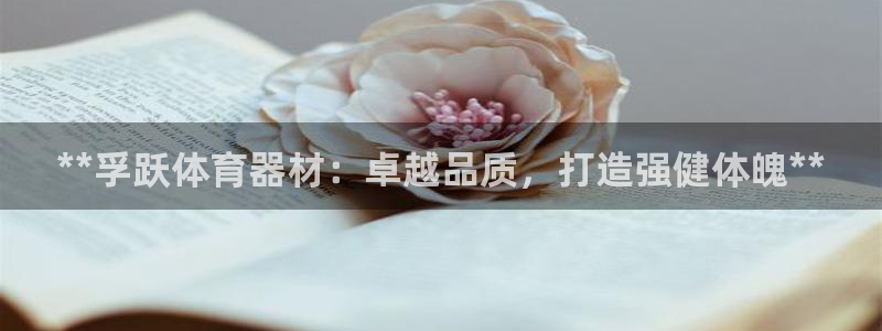 极悦平台app安全吗可靠吗：**孚跃体育器材：卓越品