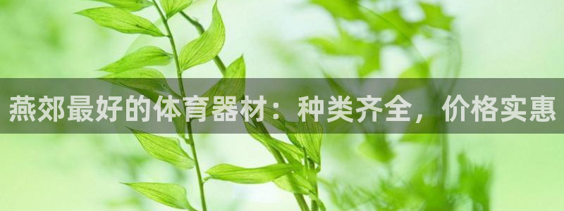 极悦平台登录不进去怎么回事：燕郊最好的体育器材：种类