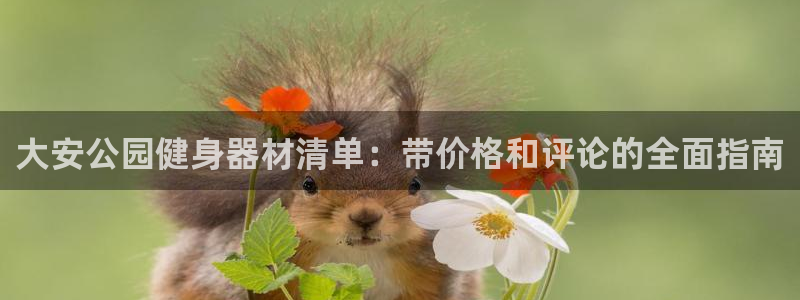 极悦平台代理：大安公园健身器材清单：带价格和评论的全
