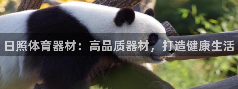 极悦官网首页登录入口：日照体育器材：高品质器材，打造