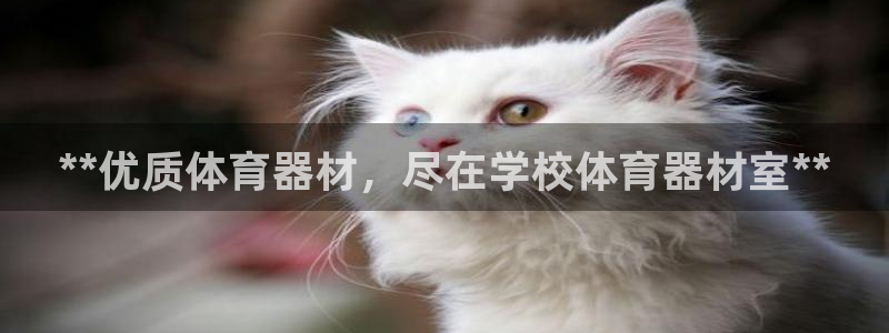 极悦平台是什么：**优质体育器材，尽在学校体育器材室