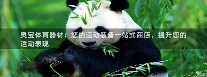 极悦平台官方网址是多少：灵宝体育器材：您的运动装备一
