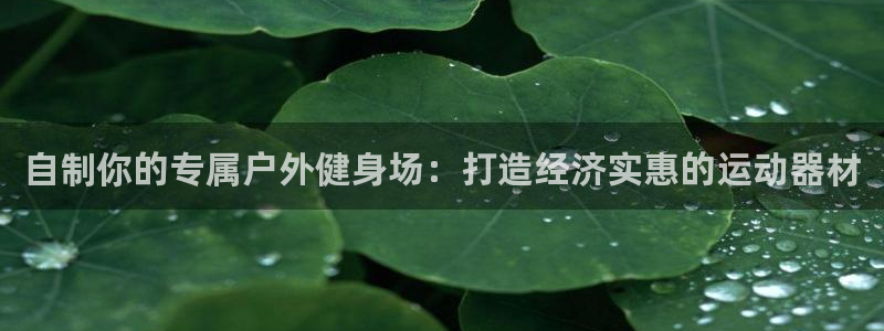 极悦平台注册失败如何解决：自制你的专属户外健身场：打