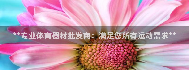极悦娱乐现在叫什么：**专业体育器材批发商：满足您所