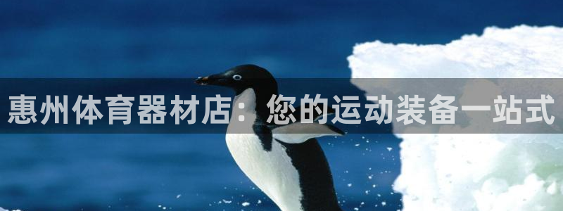 极悦平台官方网站入口：惠州体育器材店：您的运动装备一