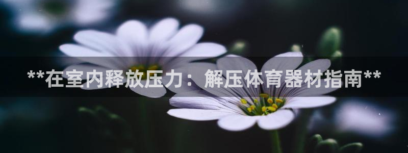 极悦官网入口登录网址：**在室内释放压力：解压体育器