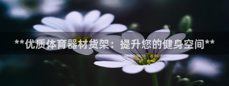 极悦平台注册失败如何解决：**优质体育器材货架：提升