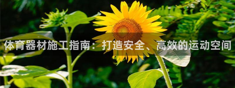 极悦平台客服投诉电话是多少啊：体育器材施工指南：打造