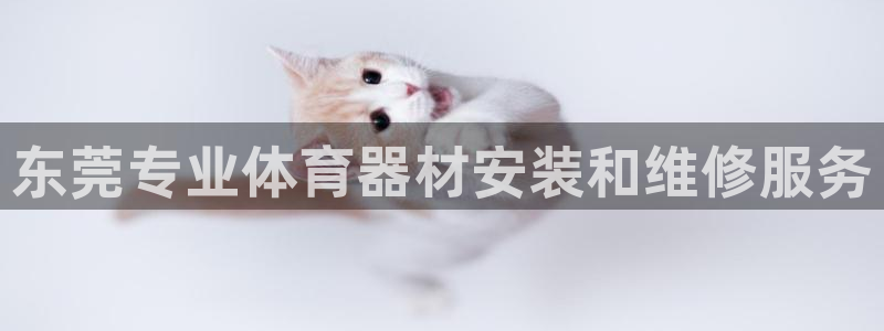 极悦平台官网登录网址查询：东莞专业体育器材安装和维修