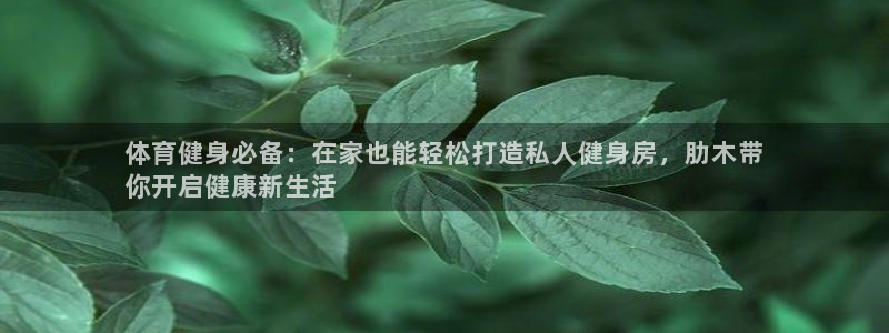 极悦平台注册登录不上：体育健身必备：在家也能轻松打造