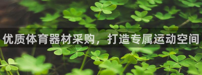 深圳极悦文化传媒有限公司：优质体育器材采购，打造专属