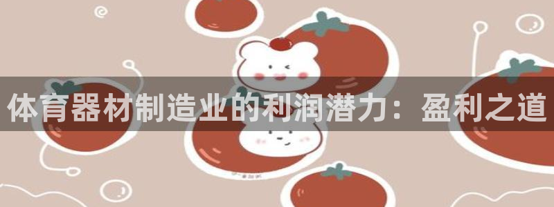 极悦娱乐的背景和历史背景：体育器材制造业的利润潜力：