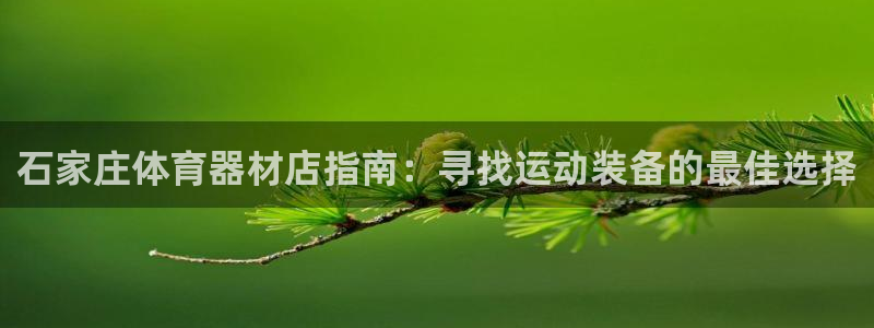 极悦平台代理怎么做：石家庄体育器材店指南：寻找运动装