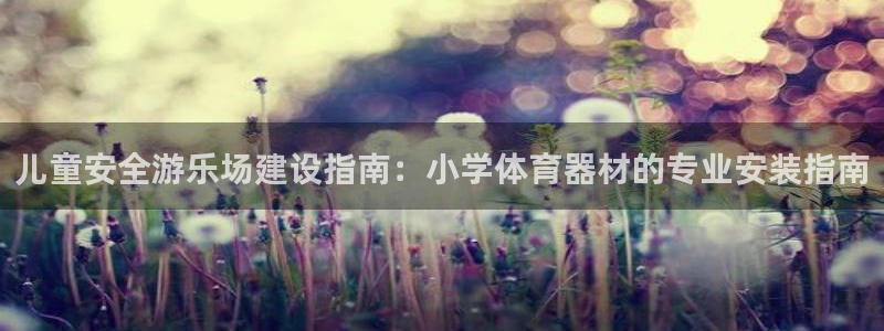 极悦平台代理电话：儿童安全游乐场建设指南：小学体育器