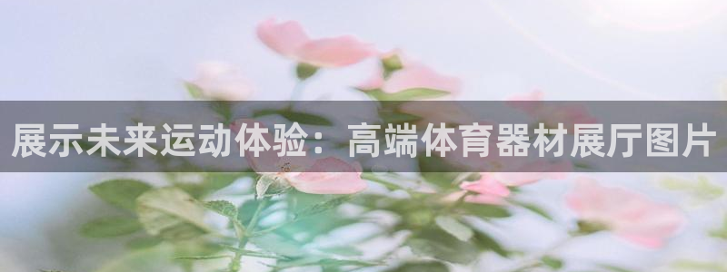 极悦娱乐贴吧百度：展示未来运动体验：高端体育器材展厅