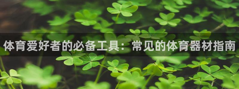 极悦平台注册用户名格式不正确：体育爱好者的必备工具：