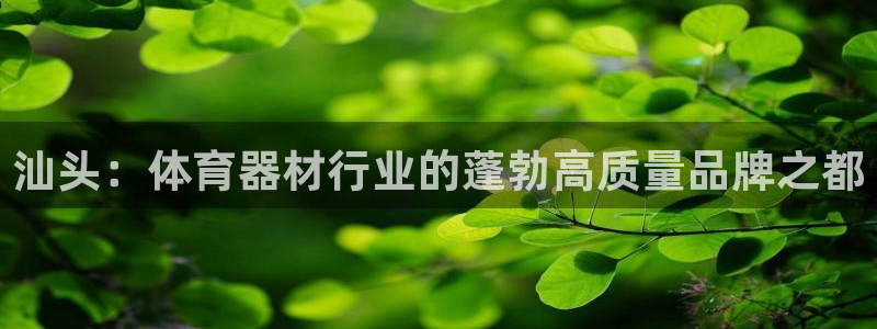 极悦牙膏怎么样知乎：汕头：体育器材行业的蓬勃高质量品