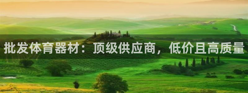 极悦平台德711.112的更新内容：批发体育器材：顶
