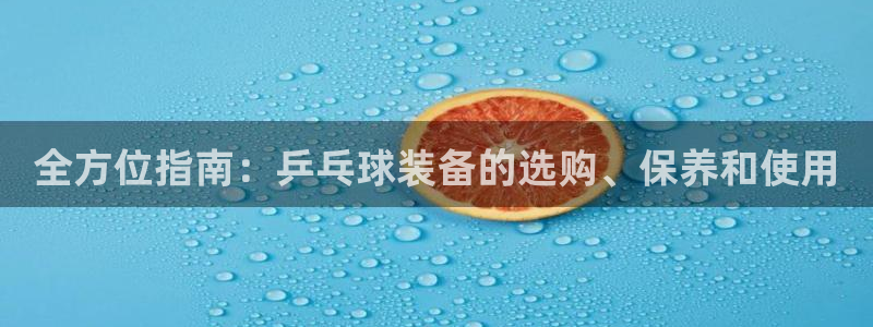 极悦平台注册用户名验证码是什么：全方位指南：乒乓球装