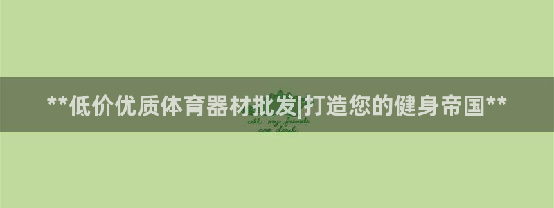 极悦平台客服团队介绍：**低价优质体育器材批发|打造