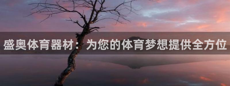 极悦娱乐代理人是谁呀：盛奥体育器材：为您的体育梦想提