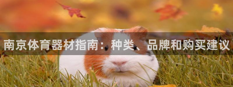 极悦娱乐官网客服联系方式：南京体育器材指南：种类、品
