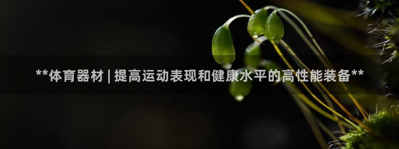 极悦平台安全吗可靠吗：**体育器材 | 提高运动表现