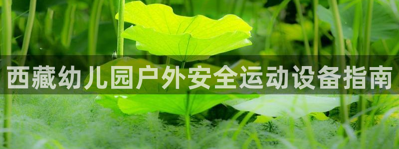 极悦平台官网登录入口网址：西藏幼儿园户外安全运动设备