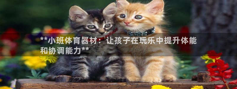 极悦娱乐官网最新版本更新内容是什么：**小班体育器材