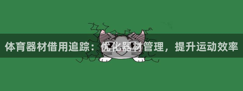 极悦娱乐负责人是谁：体育器材借用追踪：优化器材管理，