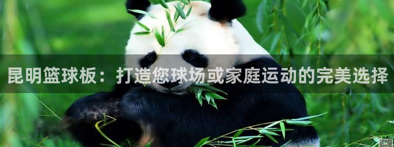 极悦平台注册官方网站下载安卓：昆明篮球板：打造您球场