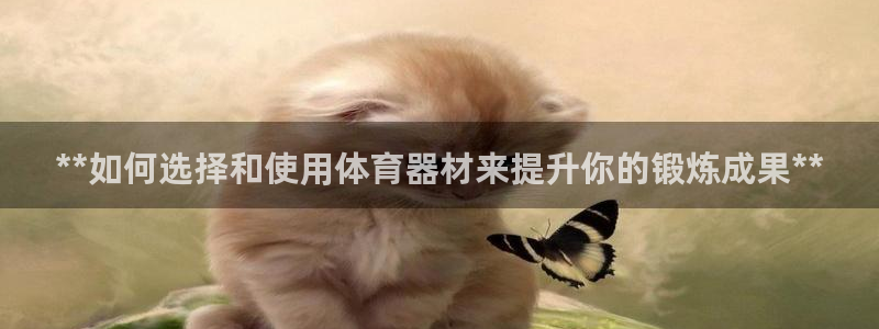 极悦平台是干什么的软件：**如何选择和使用体育器材来