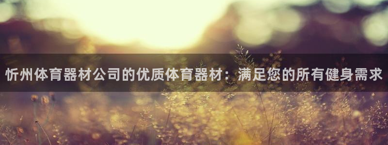 极悦平台官方网站入口：忻州体育器材公司的优质体育器材