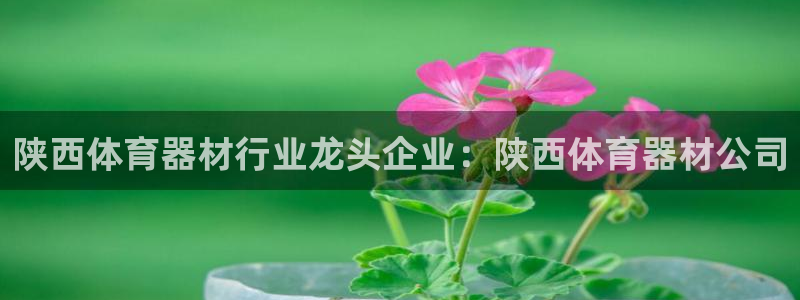 极悦牙膏怎么样：陕西体育器材行业龙头企业：陕西体育器
